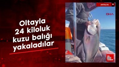 Antalya'da 24 kiloluk kuzu balığı görenleri şaşırttı