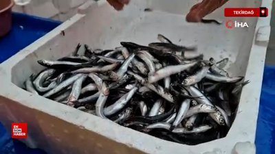Tekirdağ’da en ucuz hamsi 100 liradan satıldı