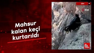 Siirt’te mahsur kalan keçi kurtarıldı