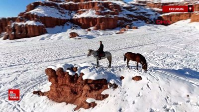 Erzurum'da 'Kırmızı Periler Diyarı' beyaza büründü