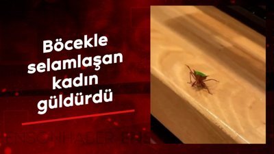 Böcekle selamlaşan kadın güldürdü