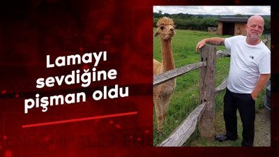 Lama adamın yüzüne tükürdü: Sevdiğine pişman oldu