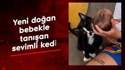 Yeni doğan bebekle tanışan sevimli kedi