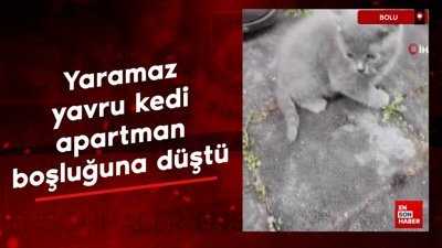 Bolu'da yaramaz yavru kedi, apartman boşluğuna düştü