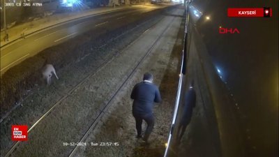 Kayseri'de zincirle tramvay raylarına bağlanan köpeği vatman kurtardı