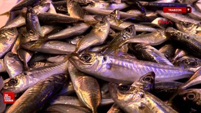 Kar suyuyla lezzetlenen hamsiye, fiyatına rağmen ilgi