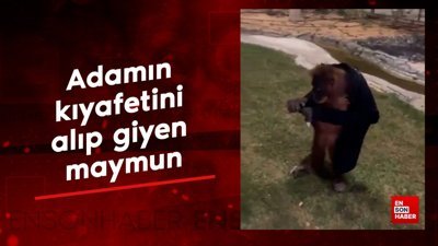 Adamın kıyafetini alıp giyen maymun