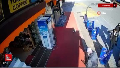 Antalya'da güldüren olay: Kaldırımda sohbet eden gencin kafasına kedi düştü