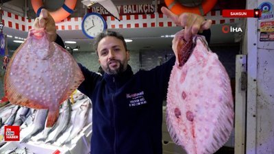 Samsun'da kalkan balığının fiyatı altınla yarışıyor