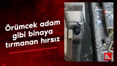 Diyarbakır'da örümcek adam gibi binaya tırmanan hırsız