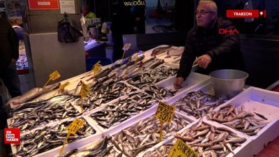 Trabzon'da hamsi göçüyor, palamut bereketi sürüyor