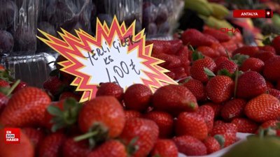 Antalya'da çileğin adedi 15, kilosu 400 lira