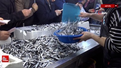 Hopa'da 30 liralık hamsiye yoğun ilgi