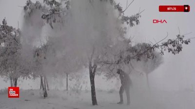 Bitlis'te ağaçlar kırağı tuttu