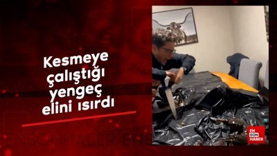 Kesmeye çalıştığı yengeç elini ısırdı