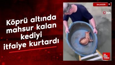 Balıkesir'de köprü altında mahsur kalan kedi kurtarıldı