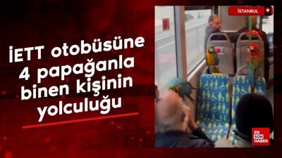 Üsküdar'da İETT otobüsüne 4 papağanla binen kişinin yolculuğu