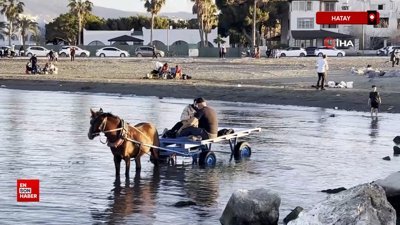 Hatay'da at arabasıyla denize girip güneşlendiler