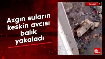 Tunceli'de azgın suların keskin avcısı balık yakalarken görüntülendi