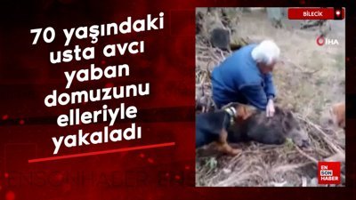 Bilecik'te 70 yaşındaki usta avcı yaban domuzunu elleriyle yakaladı