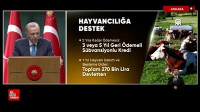 Hayvancılık yapacak gençlere ve kadınlara 2 yıl ödemesiz kredi