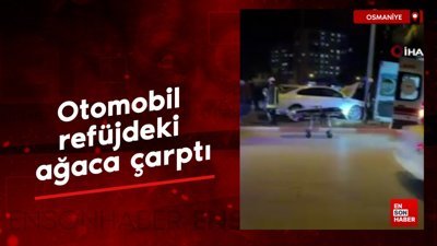 Osmaniye'de otomobil refüjdeki ağaca çarptı