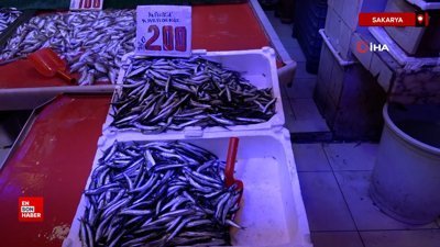 Sakarya'da kilosu 100 liradan satılan istavrit, hamsiyi geride bıraktı