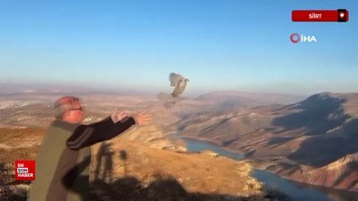 Siirt'te kaçak avlanan keklikler doğaya bırakıldı