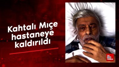 Kahtalı Mıçe hastaneye kaldırıldı