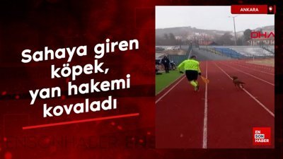 Ankara'da sahaya giren köpek, yan hakemi kovaladı