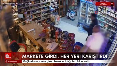 Muğla'da markete giren tavuk, ortalığı birbirine kattı