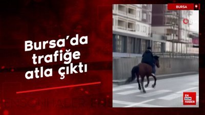Bursa'da trafiğe atla çıktı