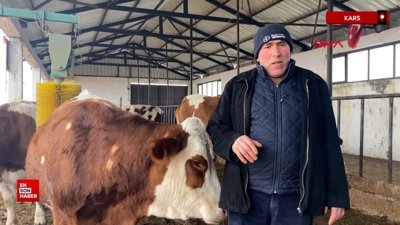 Kars'ta dondurucu soğukta yarı açık ahırda hayvancılık yapıyor