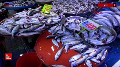 Rize'de deniz suyu ısındı: Balık tezgahlarını etkiledi