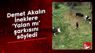 Demet Akalın İneklere ‘Yalan mı’ şarkısını söyledi