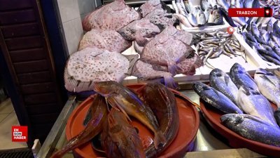 Karadeniz'de tezgahlarda kırlangıç ve kalkan bereketi