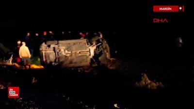 Mardin'de yola çıkan domuz sürüsü kazaya neden oldu
