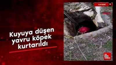 Hatay'da kuyuya düşen yavru köpek, itfaiye tarafından kurtarıldı