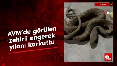 Elazığ'da AVM'de yılan paniği