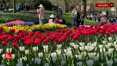 Hollanda'da Keukenhof lale bahçesi 76'ncı kez ziyarete açıldı