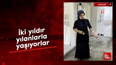 Hakkarili aile iki yıldır yılanlarla yaşıyor
