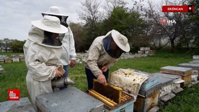 Erzincan’da kış uykusundan uyanan arılar yeni sezona hazırlanıyor