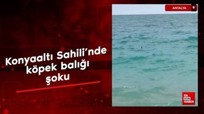 Antalya Konyaaltı Sahili’nde, köpek balığı şoku