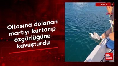 Muğla'da oltasına dolanan martıyı kurtarıp, özgürlüğüne kavuşturdu