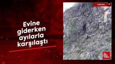 Ankara'da evine giderken ayılarla karşılaştı