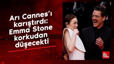 Arı Cannes’ı karıştırdı: Emma Stone korkudan düşecekti