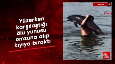 Bursa'da yüzerken karşılaştığı ölü yunusu omzuna alıp, kıyıya bıraktı