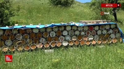 Bitlis balı Paris’te Altın Bal ödülünü kazandı