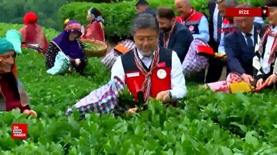 Bakan Yumaklı: İklim değişikliğinin çayda korktuğumuz etkisi olmadı