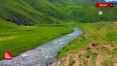 Faraşin Yaylası: Doğaseverlerin yeni uğrak noktası
